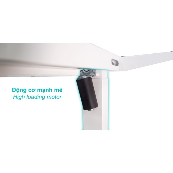 Bàn nâng hạ thông minh Ergonomic ERD-1201