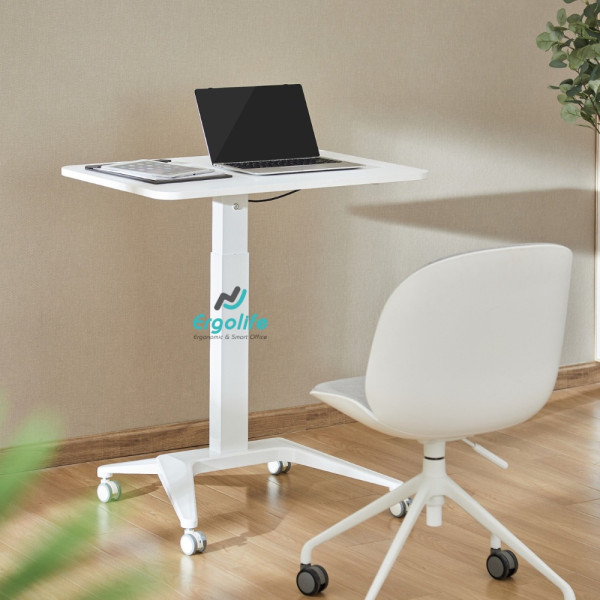 Bàn nâng hạ thông minh Ergonomic FWS12-2