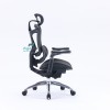Ergonomic Chair Sihoo A3/Doro C300