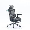 Ergonomic Chair Sihoo A3