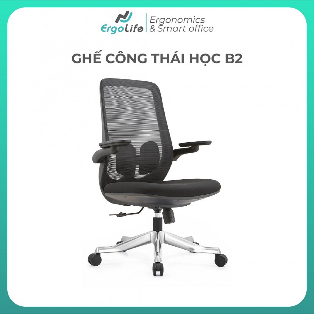 Mid Back Ergonomic Chair B2