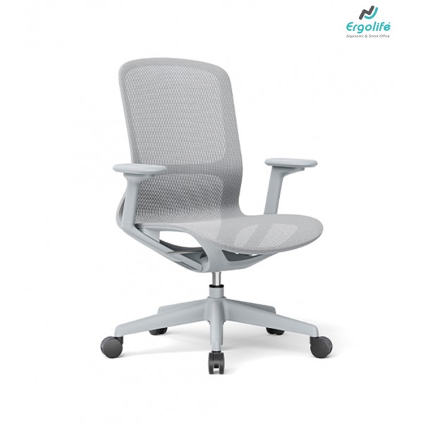 Ghế Công Thái Học CH-589