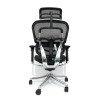 Ergonomic Chair Ergohuman Elite - High End Chair