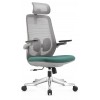 Ergonomic Chair A2C