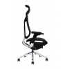 Ergonomic Chair Goodtone Imove