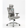 Ergonomic Chair ERC-57 (Sihoo M57)
