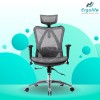 Ergonomic Chair Sihoo M57