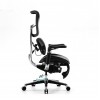 Ergonomic Chair Sihoo AU (Doro S300)