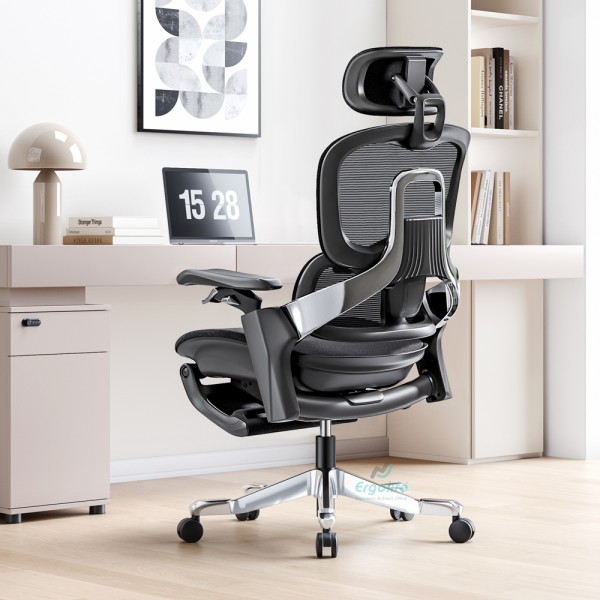 Ghế Công Thái Học Cao Cấp RC-1161E