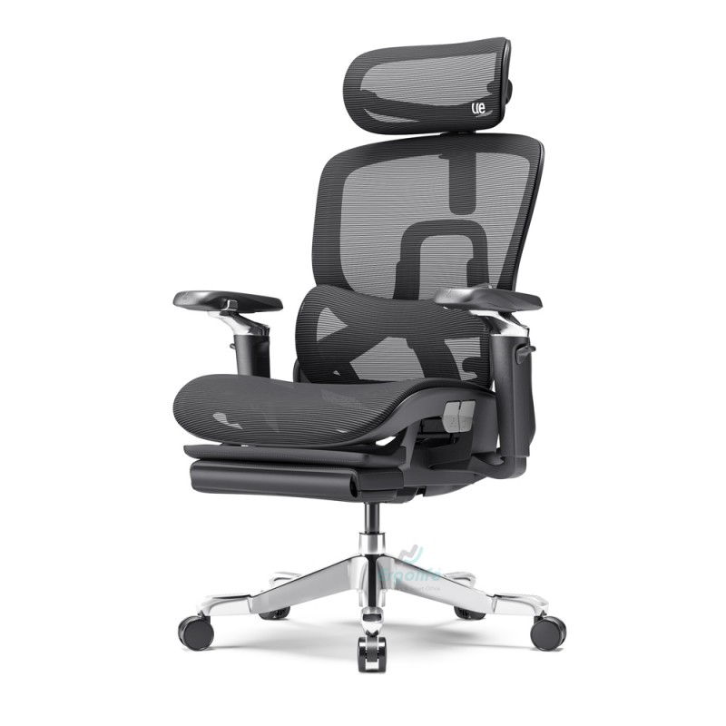 Ghế Công Thái Học Cao Cấp RC-1171E