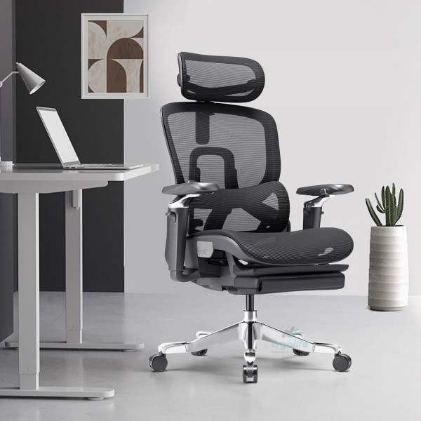 Ghế Công Thái Học Cao Cấp RC-1171E