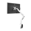Monitor arm Flexispot DLB851