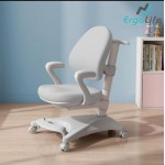 Ergonomic Chair ERC-K35C