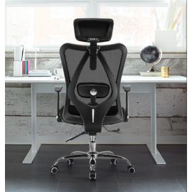 Ergonomic Chair ERC-18 (Chrome Steel Leg chair)