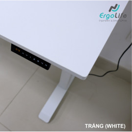 Ergonomic Desk ERD-1210 (Desktop combined)