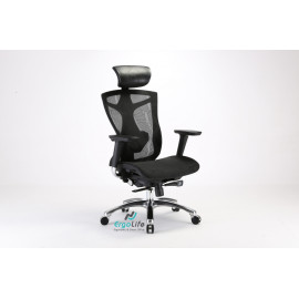 Ergonomic Chair Sihoo V1