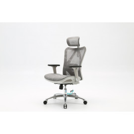 Ergonomic Chair Sihoo M57