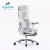 Ghế Công Thái Học Cao Cấp Doro S100