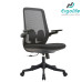 Ghế Công Thái Học B2