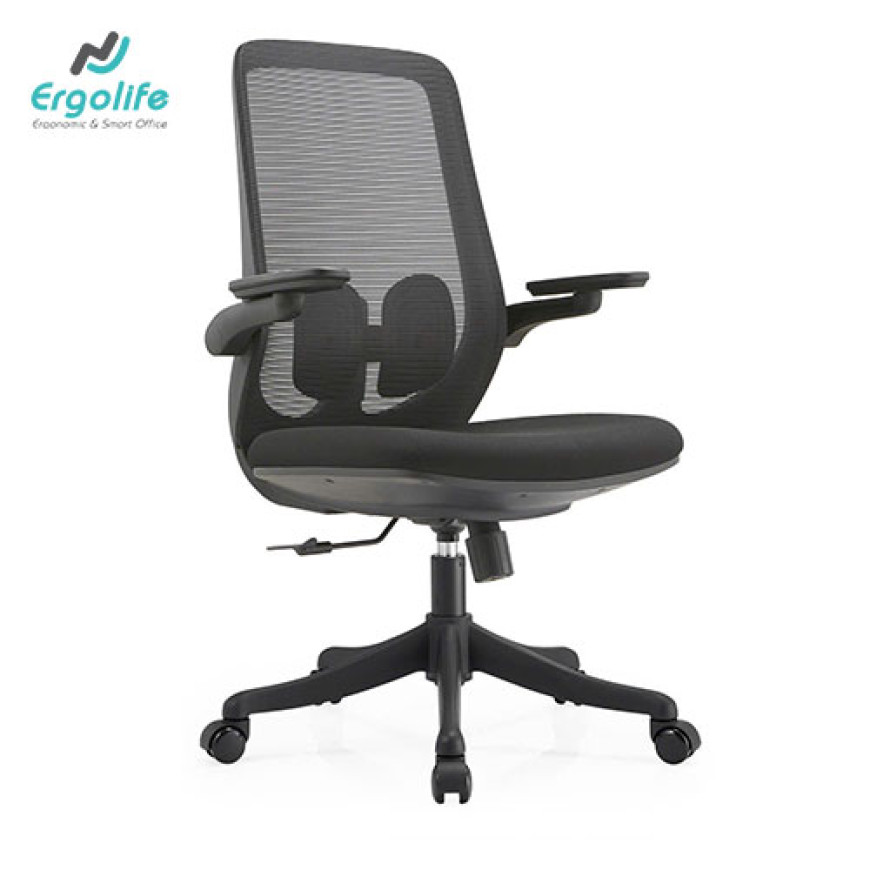 Ghế Công Thái Học B2