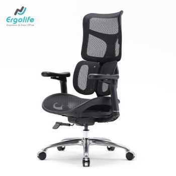 Ghế Công Thái Học Cao Cấp Doro S100