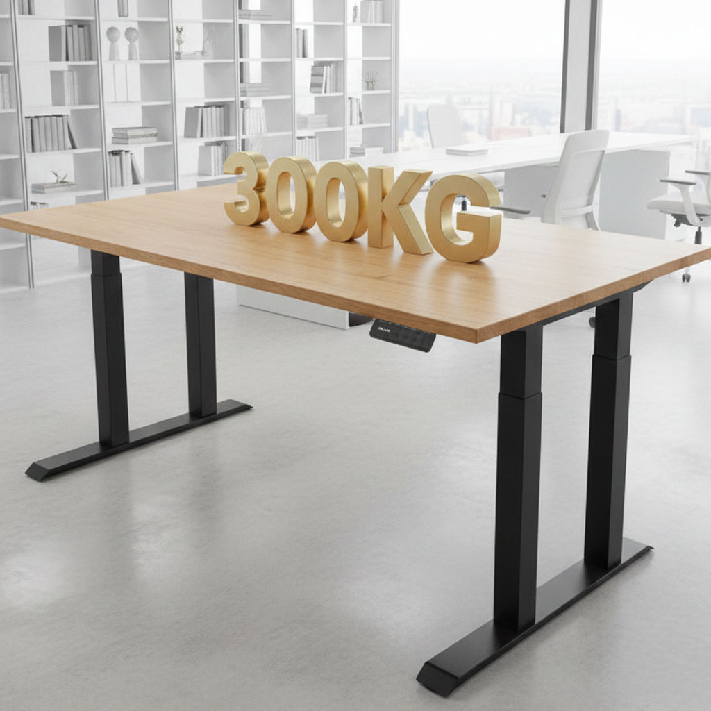 Tải trọng 250kg ERD-2400W