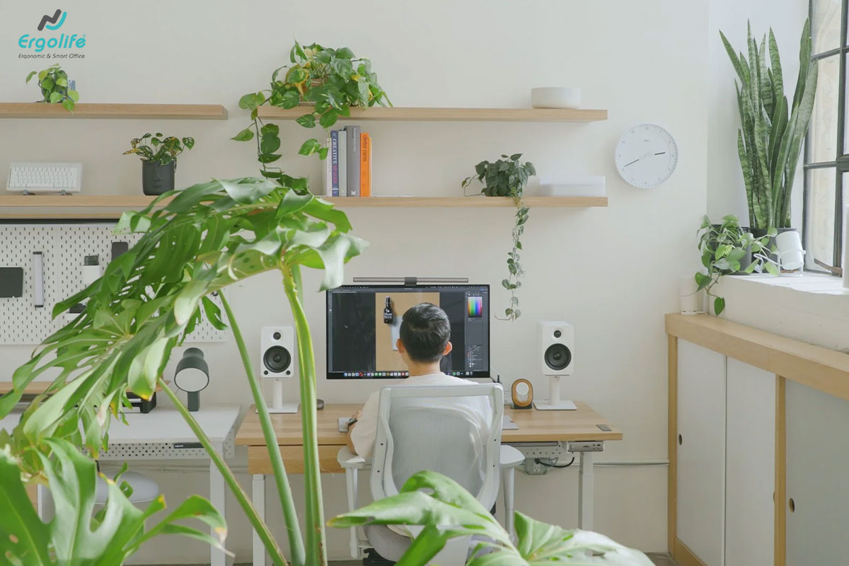 Cây xanh tạo cân bằng cho không gian làm việc Cây xanh tạo cân bằng cho không gian làm việc
